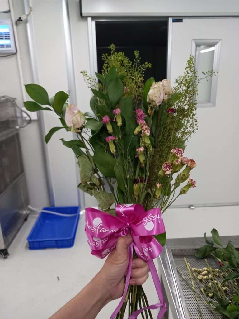 hoa sấy lạnh
