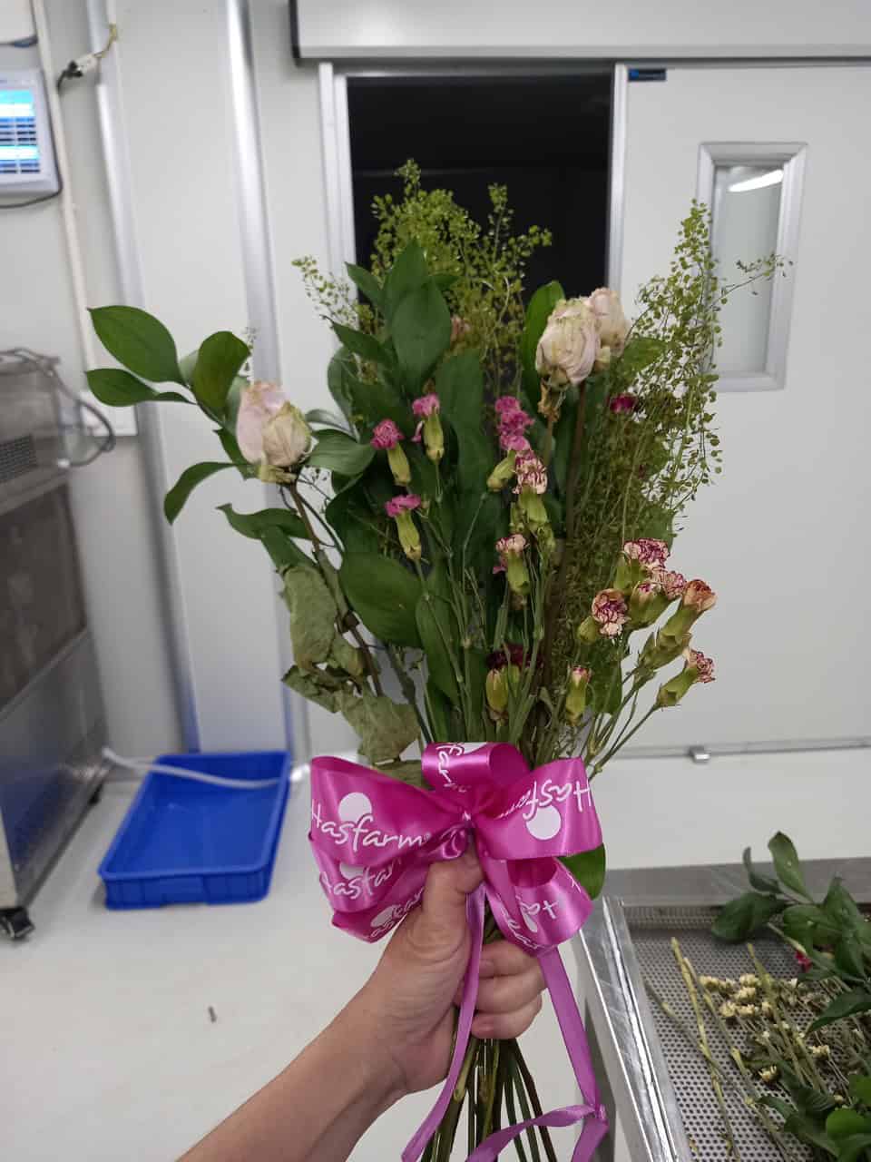 hoa sấy lạnh