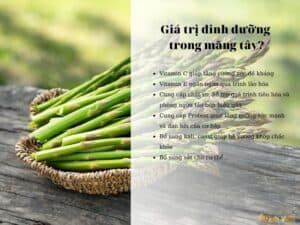 Măng tây tươi trước khi sấy