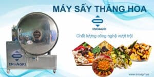 Máy sấy thăng hoa giao hàng tại Tiền Giang - Dịch vụ nhanh chóng, uy tín
