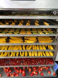 Máy sấy lạnh trái cây