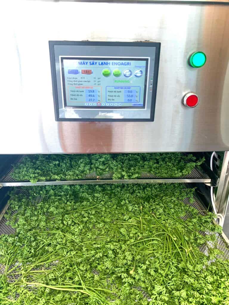 máy sấy lạnh 100kg sấy cần tây