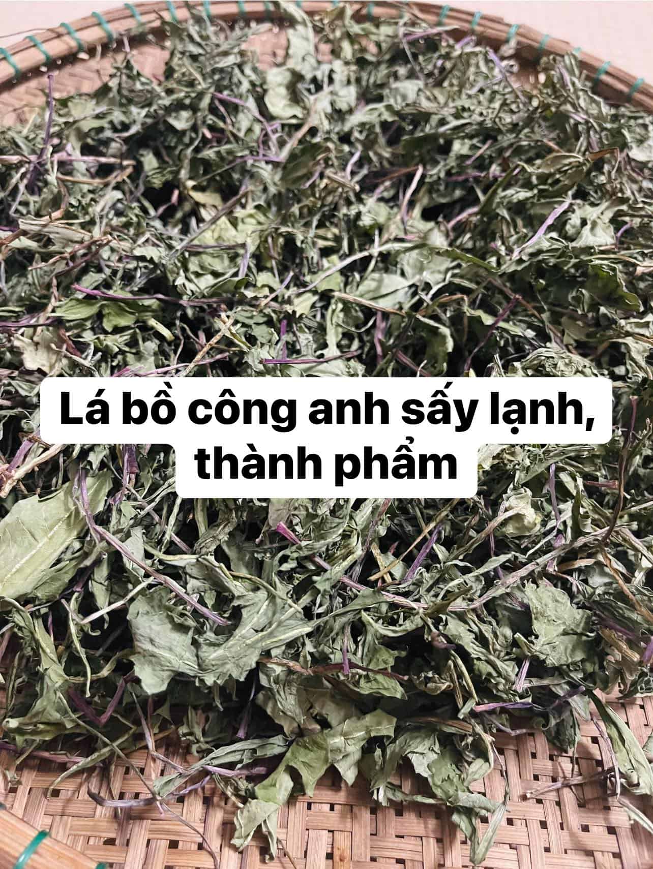 Lá bồ công anh sấy lạnh