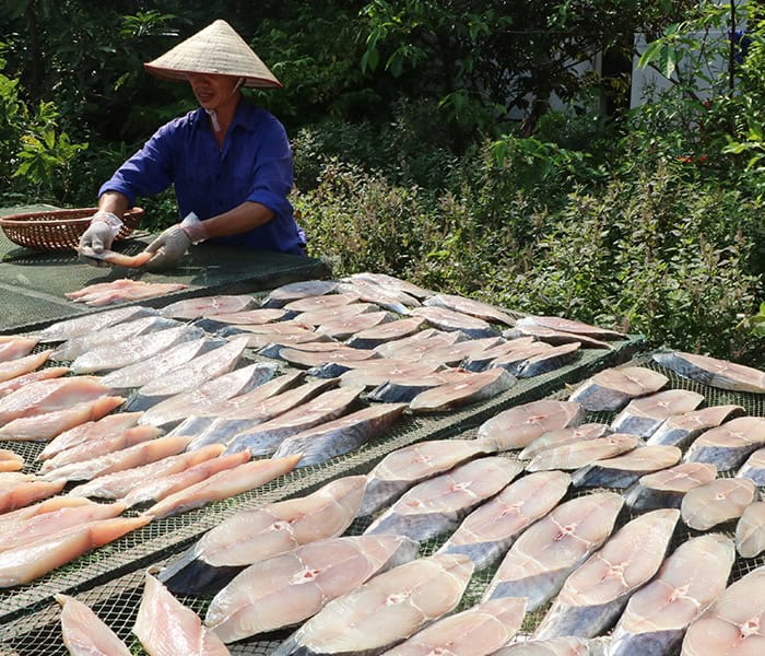 cá phơi nắng