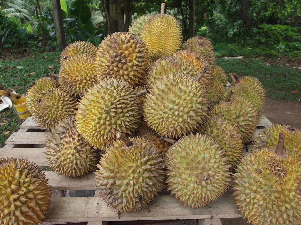 sầu riêng