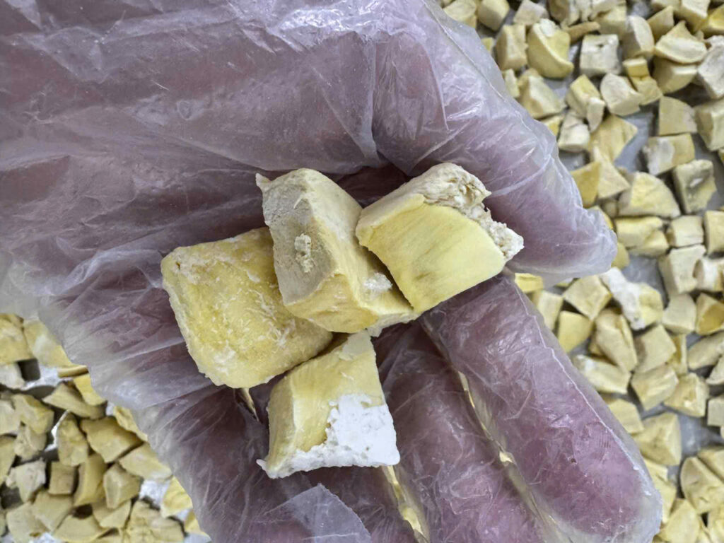 sầu riêng sấy thăng hoa