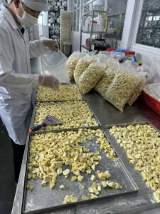 Máy Sấy Thăng Hoa 500kg