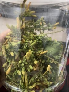 Hoa đu đủ sấy lạnh
